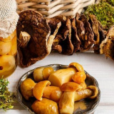 Jak osolit houby doma - osvědčené recepty